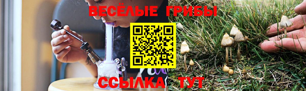 Галлюциногенные грибы GOLDEN TEACHER  где купить наркоту  Вязьма  Вход с VPN 